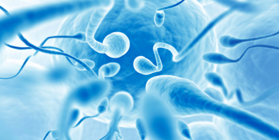 Comment augmenter le nombre de spermatozoïdes ?